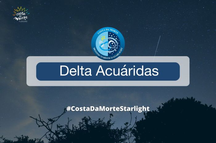 Delta Aquarid Star Shower 2024