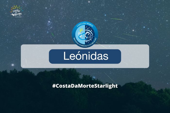 Lluvia de Estrellas Leónidas