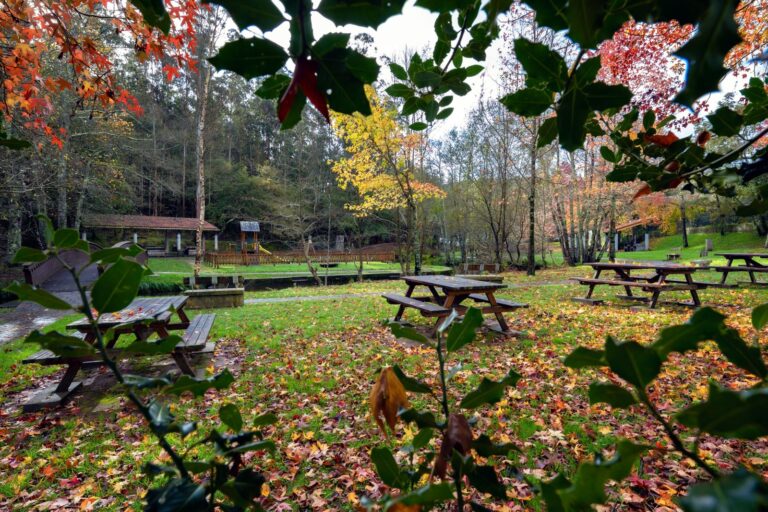 11. A área de Gabenlle está dotada con todo tipo de servizos