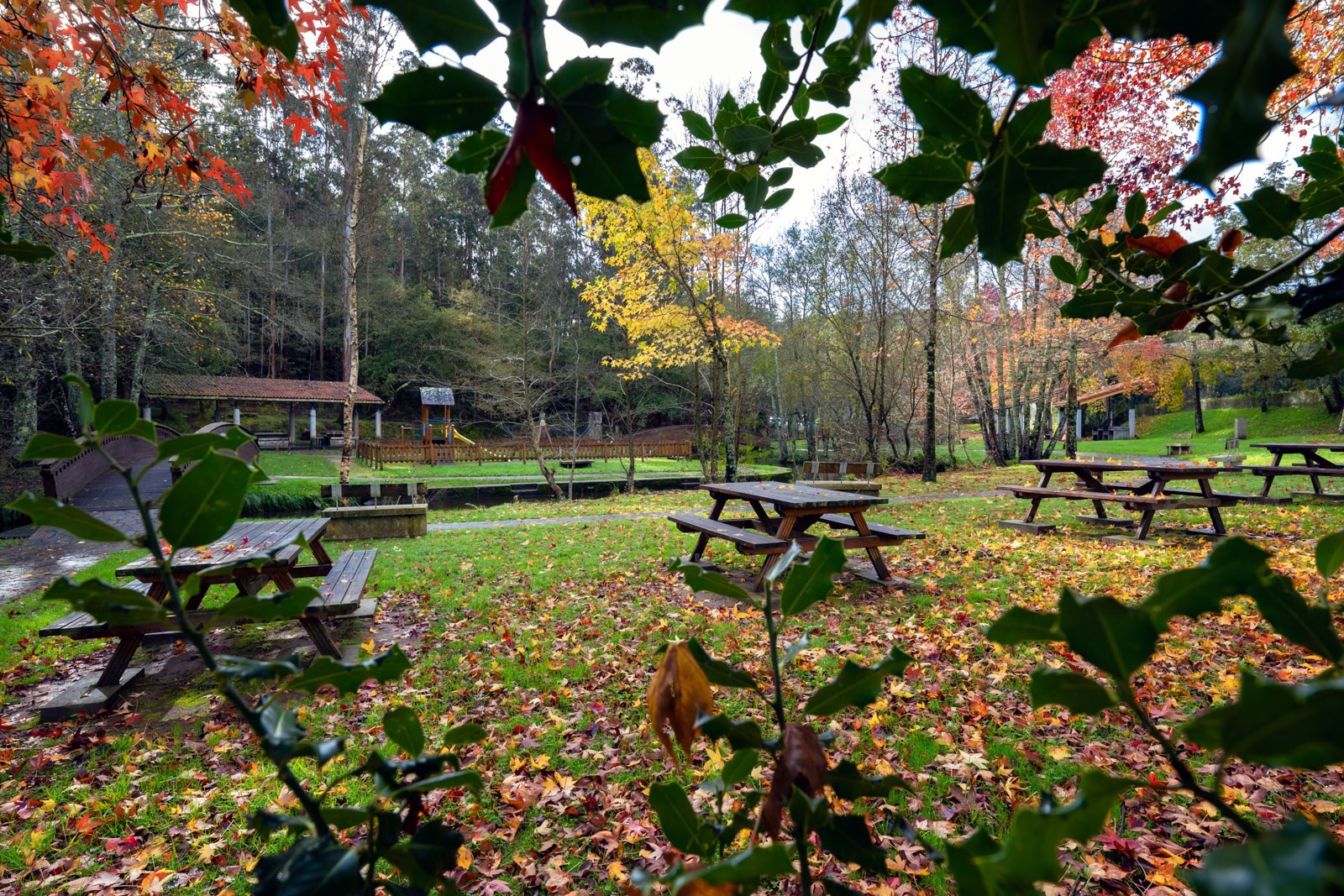 11. A área de Gabenlle está dotada con todo tipo de servizos