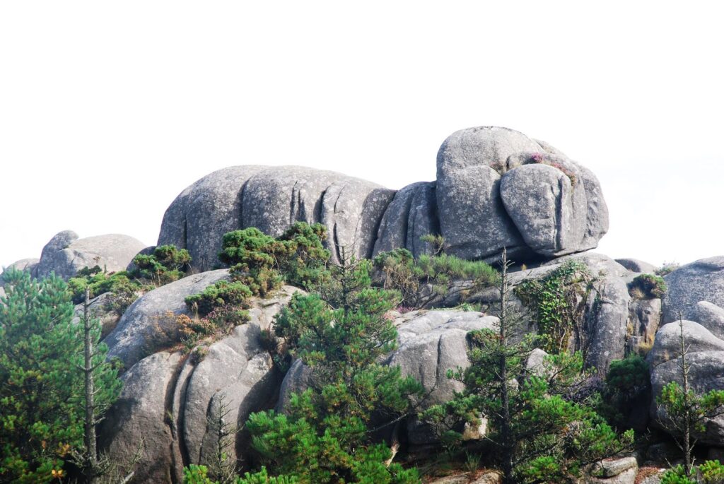 172bis. No monte Pindo atopamos penedos de múltiples formas