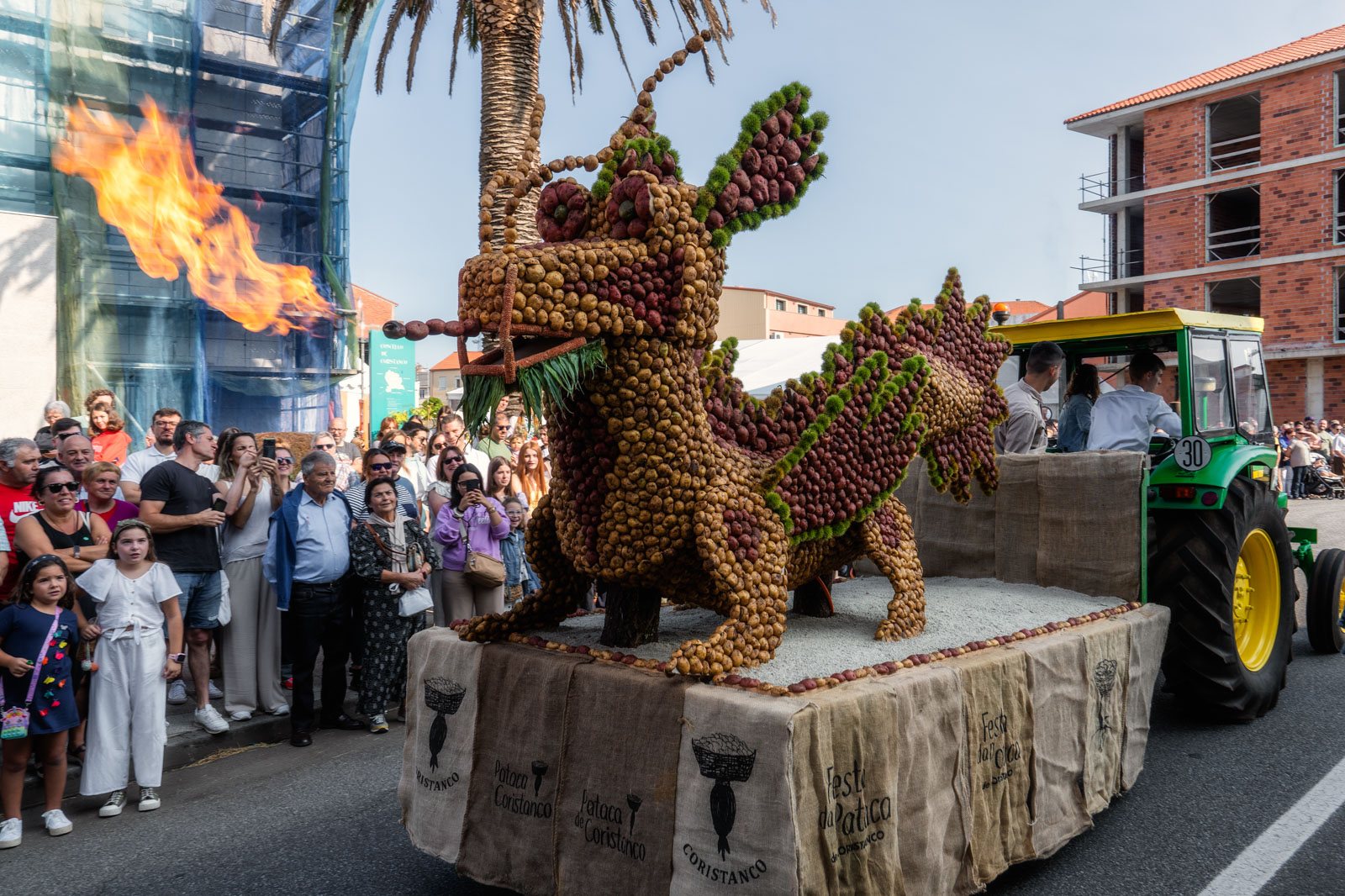 31. A Festa da Pataca de Coristanco comezou a celebrarse no ano