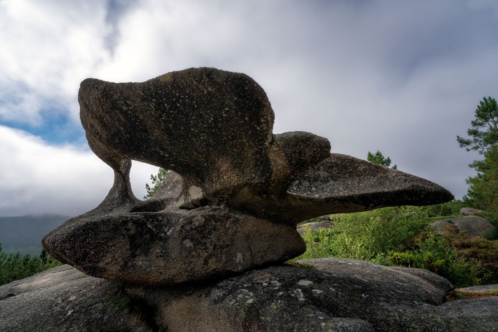 89. Pedra Multiforme