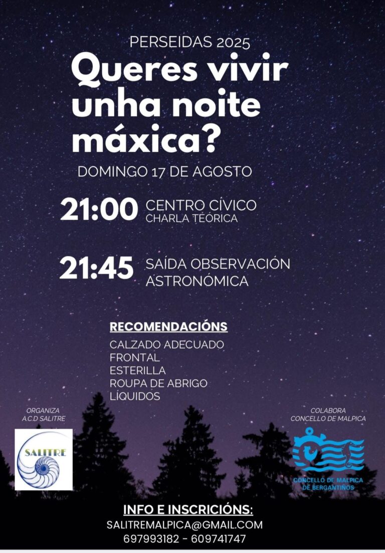 Cartel perseidas 2025 en malpica