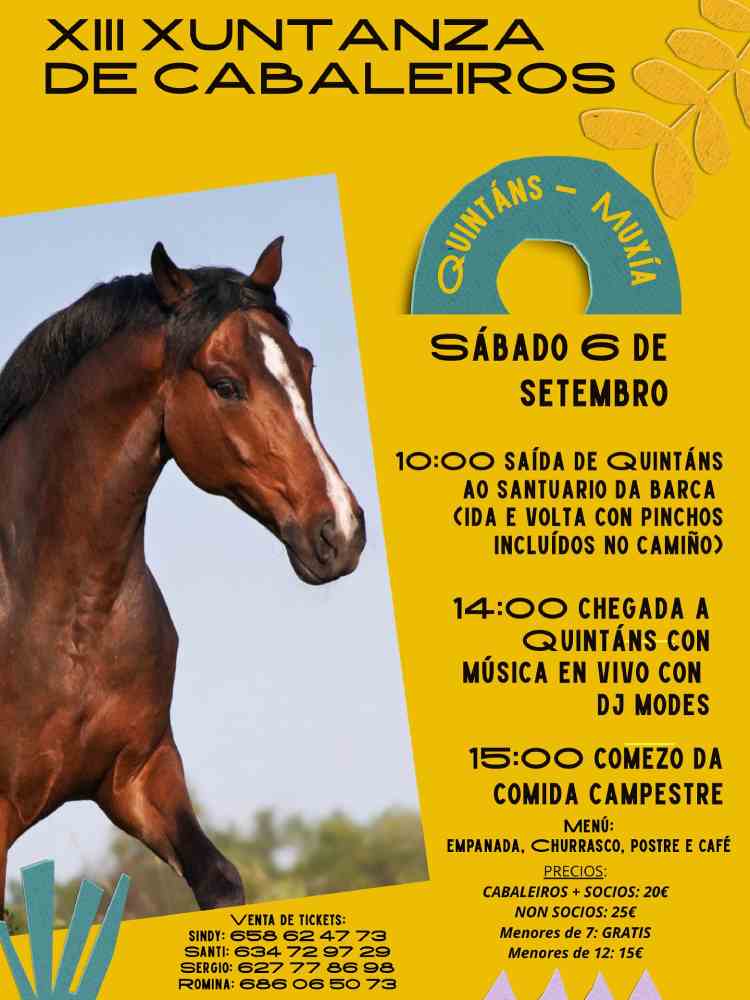 Cartel xuntanza de cabaleiros de quintáns 2025