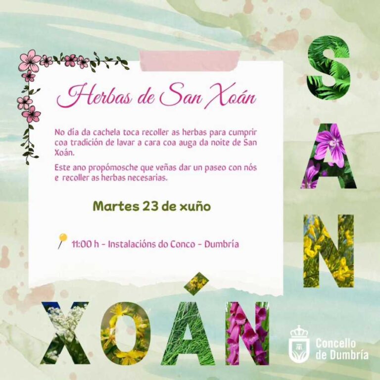 Hierbas de San Juan en Dumbría