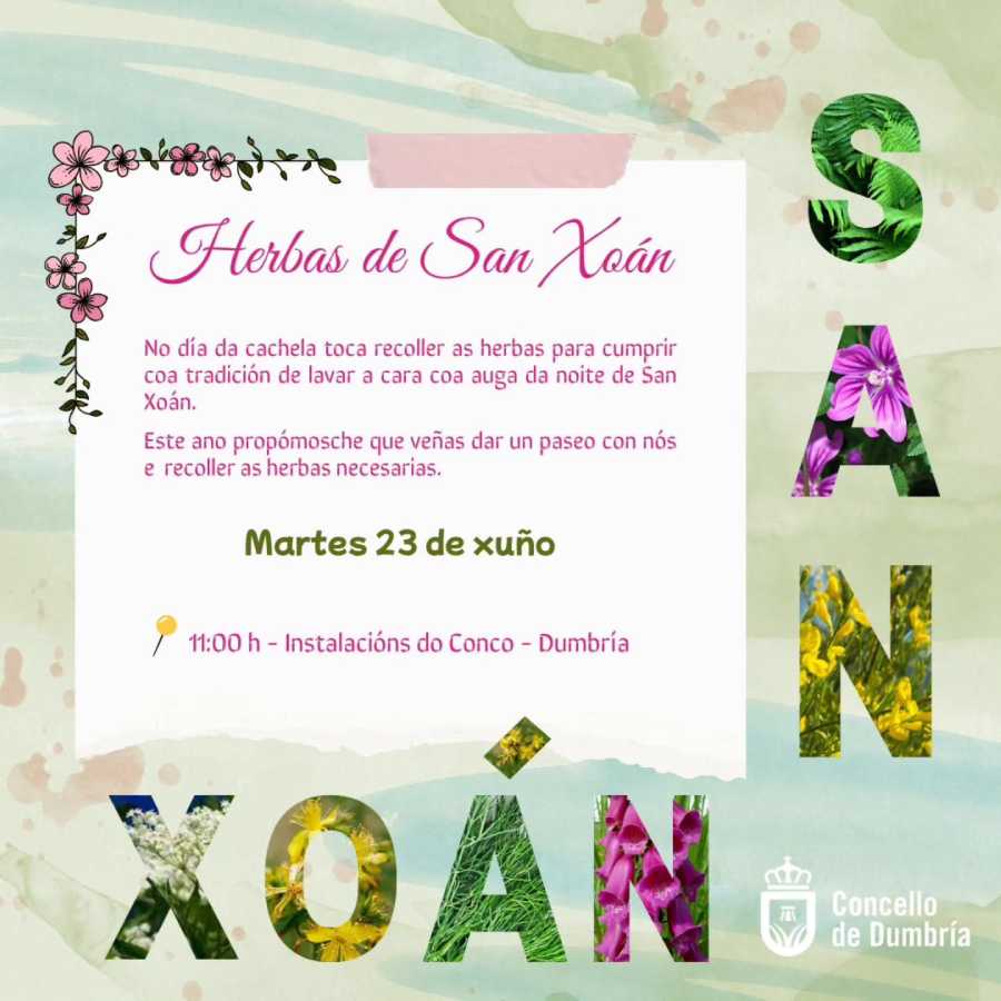 Hierbas de San Juan en Dumbría
