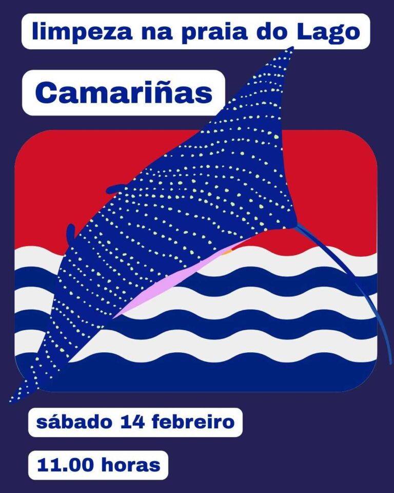 Limpeza de Praia de Lago en Camariñas