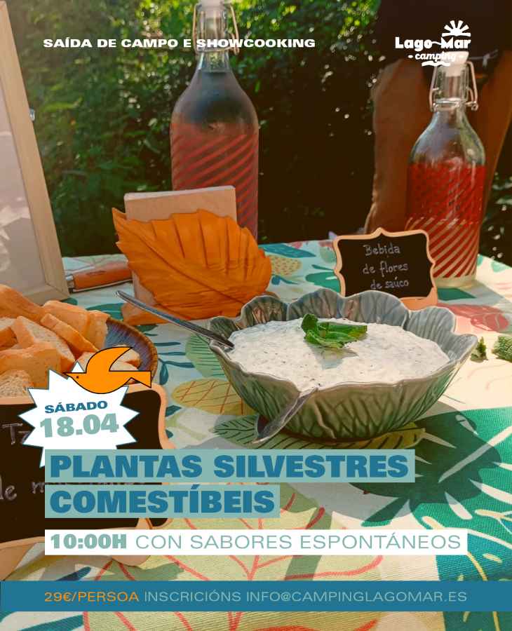 Plantas Silvestres no Camping Lago Mar