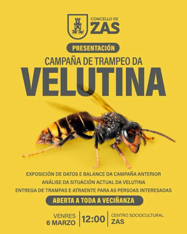 Presentación Campaña de Trampeo da Velutina en Zas