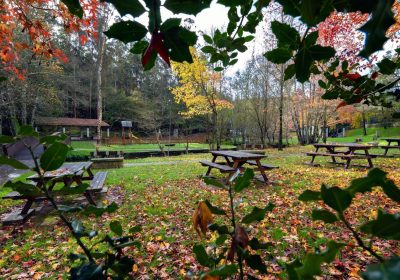 11. A área de Gabenlle está dotada con todo tipo de servizos