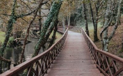 Paseo Fluvial Rio Anllons