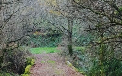 Ruta de las cascadas. Mazaricos