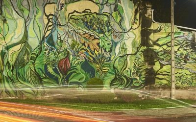 Derrumbando muros con Pintura. Carballo