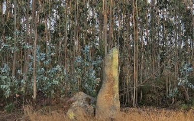 Marco da Anta (A Laracha)