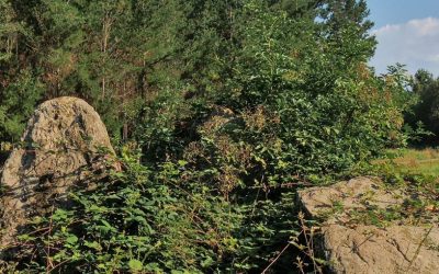 Pedra Moura de Aldemunde (Carballo)