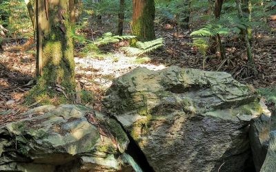 Dolmen das Embarradas (Coristanco)