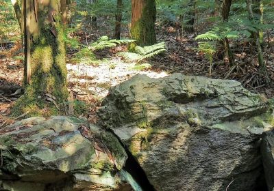 Dolmen das Embarradas (Coristanco)