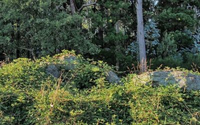 Mina da Parxubeira (Mazaricos)