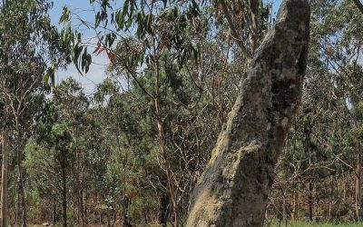 Fuso da Moura (Ponteceso)