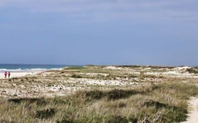 Complejo Dunar y laguna de la playa de Razo – Baldaio (Carballo)