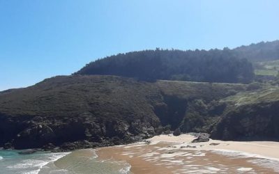 Sección Costera del Complejo Malpica-Tui en torno a Malpica