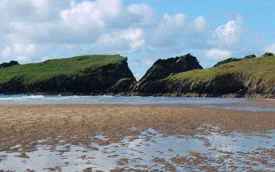 Cizalla de Mapica – Lamego
