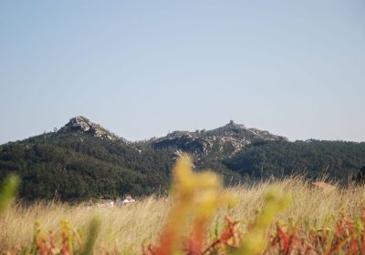 85. Penedos de Traba e Pasarela desde a lagoa