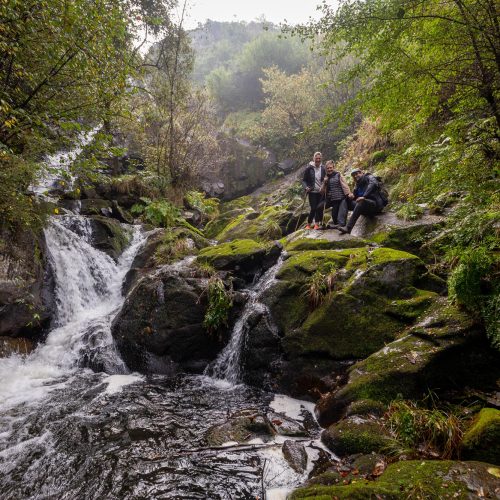 Carballo Férveda San Paio Entrecruces08