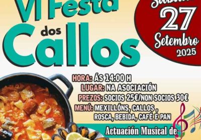 Cartel A Xolda en Cores Nemeño Ponteceso