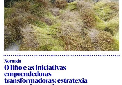 Cartel o liño e as iniciativas emprendedoras
