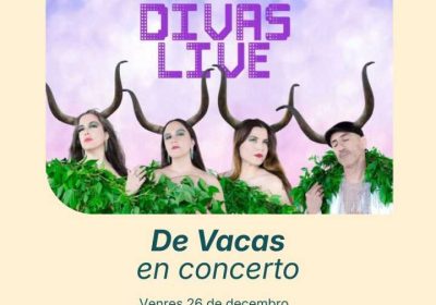 Concerto de Vacas en Carballo