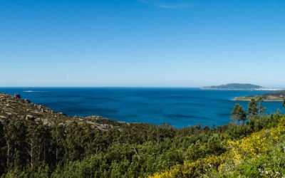 Foto 14. mirador ameixenda (1)