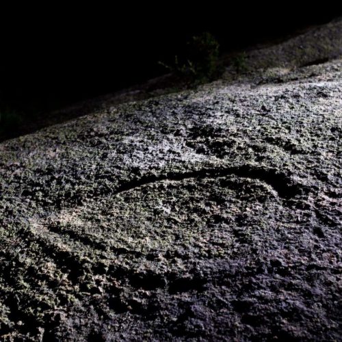 Foto 17. petrofligos monte de banle 1