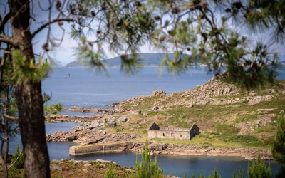 Foto 22. ballenera de caneliñas