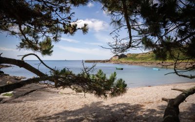 Foto 5. playa de caneliñas