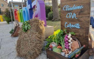 Feira Vindemo Ver Carnota 00002