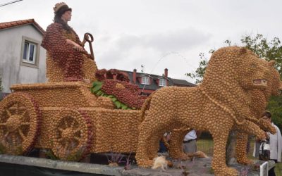 Festa Da Pataca Coristanco