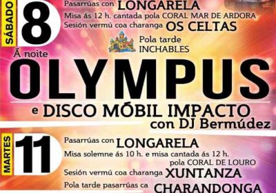 Festas de san martiño en lariño 2025