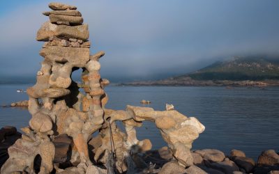 Figuras Do Alemán De Camelle