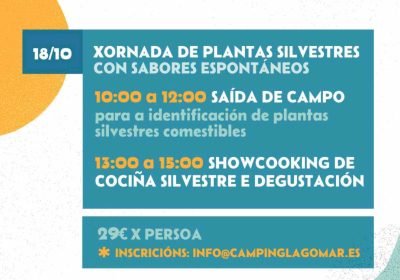 Fin de semana campestre en camping lago mar