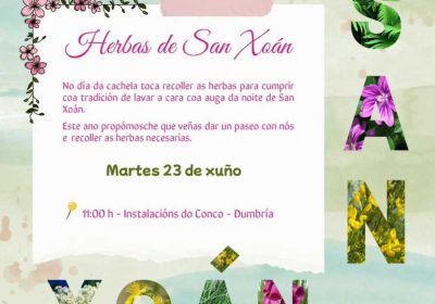 Hierbas de San Juan en Dumbría