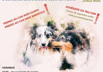 Ii xornada canina concello de zas