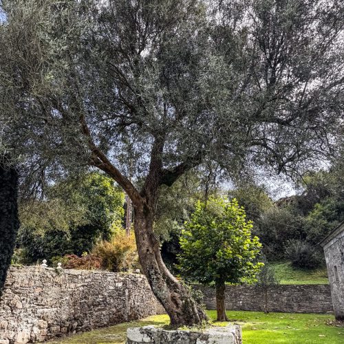 Igrexa de santo estevo de buño 8