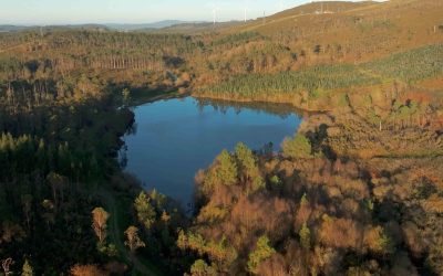 Lago de fontecova vista aérea