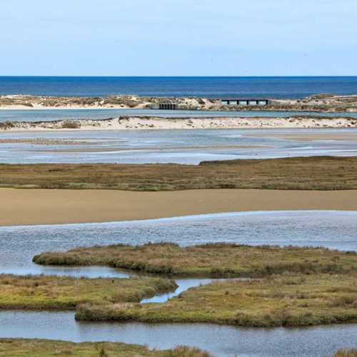 Lagoa E Marisma De Baldaio (carballo)