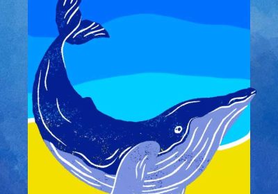 Limpeza na Praia de Estorde Cee