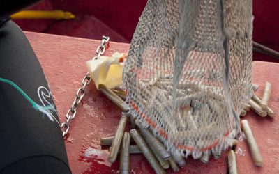 Pescando Longueiron En Fisterra