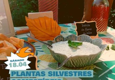 Plantas Silvestres no Camping Lago Mar