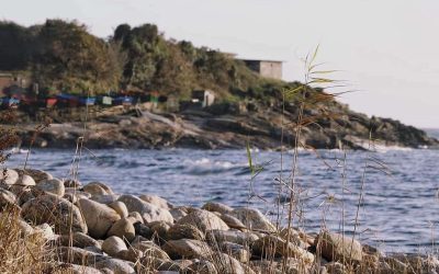 Ruta santiago de a ameixenda 00002